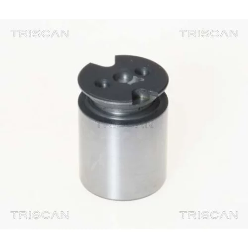 Piest brzdového strmeňa 8170 233860 /TRISCAN/