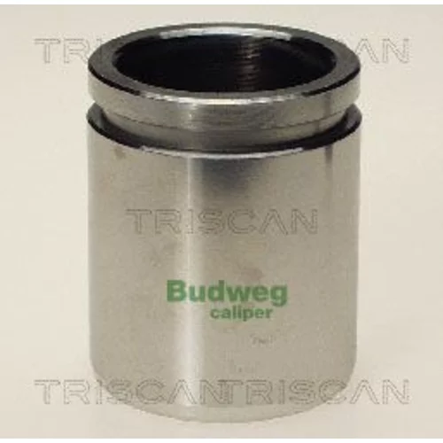 Piest brzdového strmeňa 8170 234010 /TRISCAN/