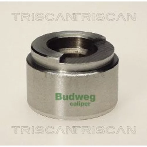 Piest brzdového strmeňa 8170 234201 /TRISCAN/