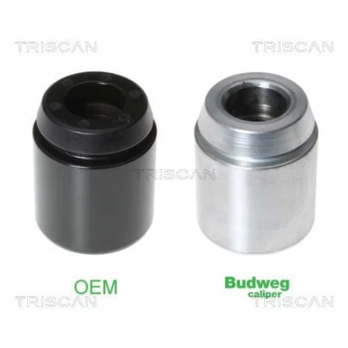 Piest brzdového strmeňa 8170 234231 /TRISCAN/