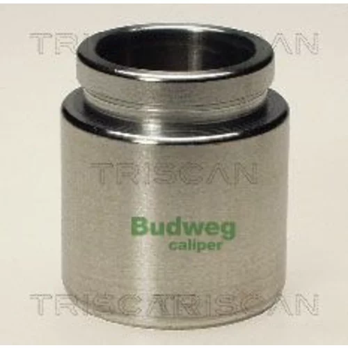 Piest brzdového strmeňa 8170 234327 /TRISCAN/