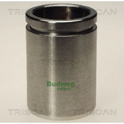 Piest brzdového strmeňa 8170 234412 /TRISCAN/