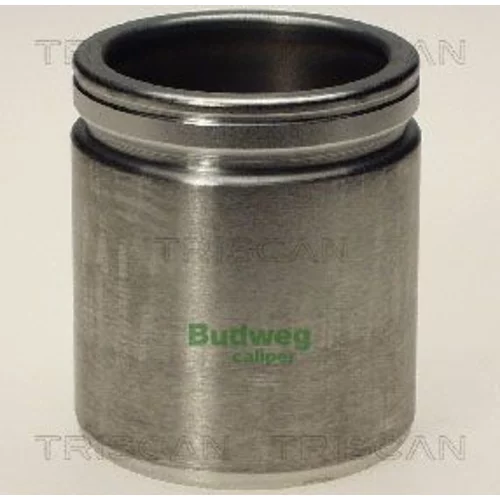 Piest brzdového strmeňa 8170 234815 /TRISCAN/