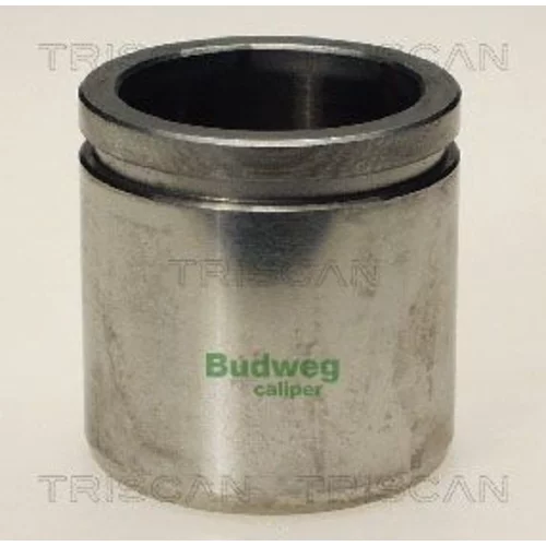 Piest brzdového strmeňa 8170 234822 /TRISCAN/