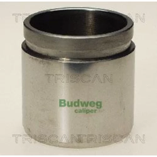 Piest brzdového strmeňa 8170 234837 /TRISCAN/