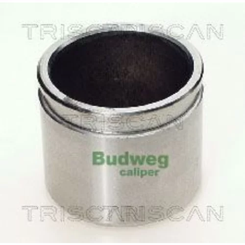 Piest brzdového strmeňa 8170 235118 /TRISCAN/