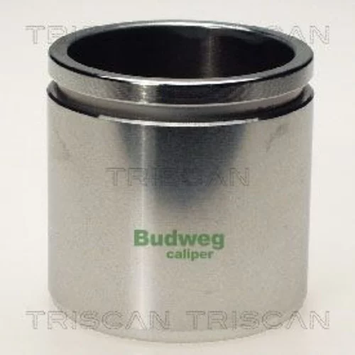 Piest brzdového strmeňa 8170 235419 /TRISCAN/