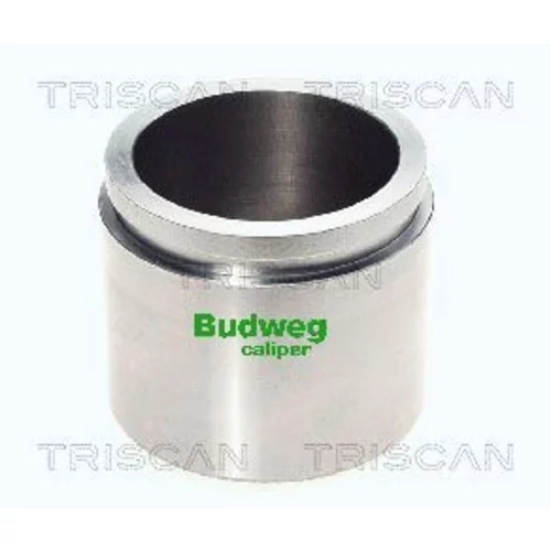 Piest brzdového strmeňa 8170 236038 /TRISCAN/