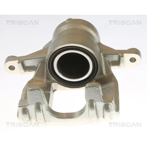 Brzdový strmeň TRISCAN 8175 10219