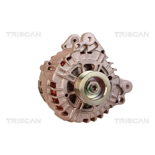 Alternátor 8310 10018 /TRISCAN/ - obr. 4