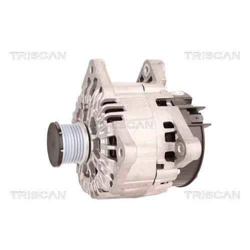 Alternátor 8310 10050 /TRISCAN/ - obr. 6