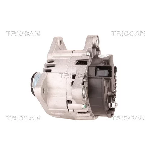 Alternátor 8310 10050 /TRISCAN/ - obr. 7