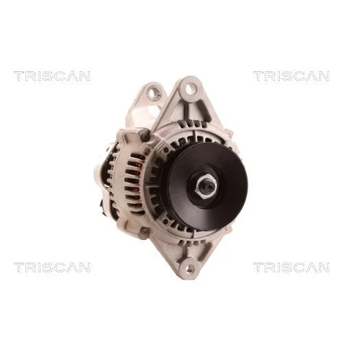 Alternátor 8310 10067 /TRISCAN/ - obr. 4