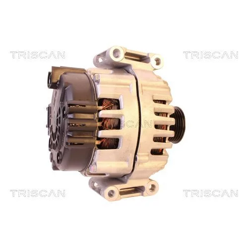 Alternátor 8310 10068 /TRISCAN/ - obr. 2