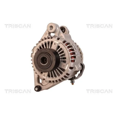 Alternátor 8310 10109 /TRISCAN/ - obr. 5