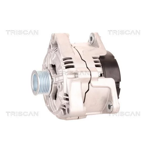 Alternátor 8310 10116 /TRISCAN/ - obr. 6