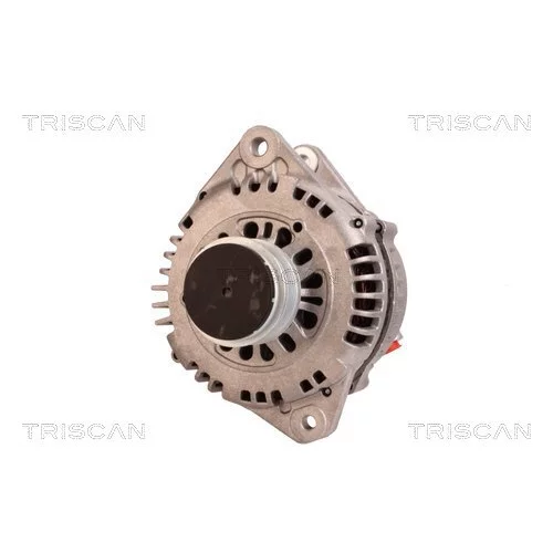 Alternátor 8310 10131 /TRISCAN/ - obr. 5