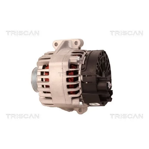 Alternátor 8310 10140 /TRISCAN/ - obr. 7