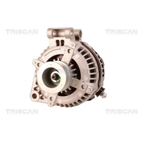 Alternátor 8310 10148 /TRISCAN/ - obr. 5