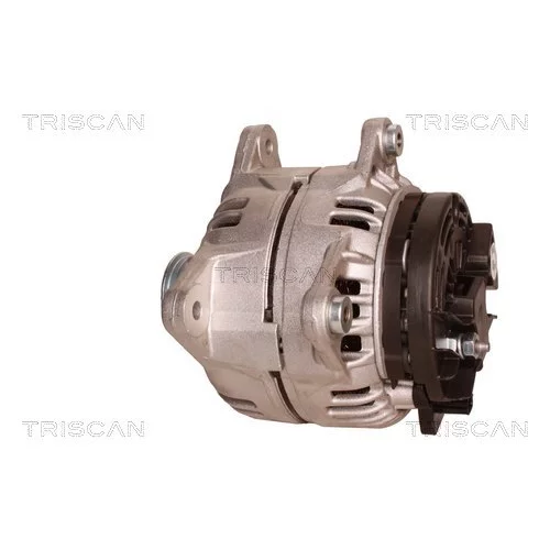 Alternátor 8310 10150 /TRISCAN/ - obr. 7