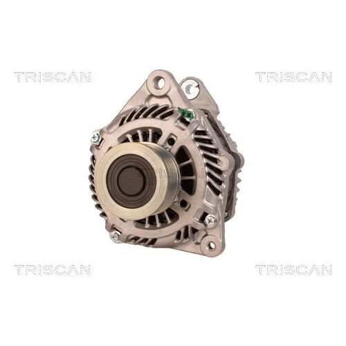 Alternátor 8310 10161 /TRISCAN/ - obr. 5