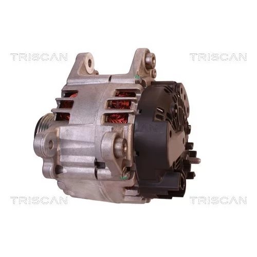 Alternátor 8310 10165 /TRISCAN/ - obr. 7