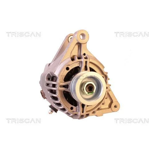 Alternátor 8310 13047 /TRISCAN/ - obr. 4