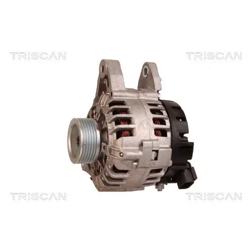 Alternátor 8310 13047 /TRISCAN/ - obr. 6