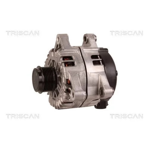Alternátor 8310 13056 /TRISCAN/ - obr. 6