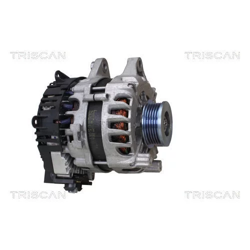 Alternátor 8310 13063 /TRISCAN/ - obr. 6