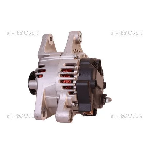 Alternátor 8310 14012 /TRISCAN/ - obr. 7