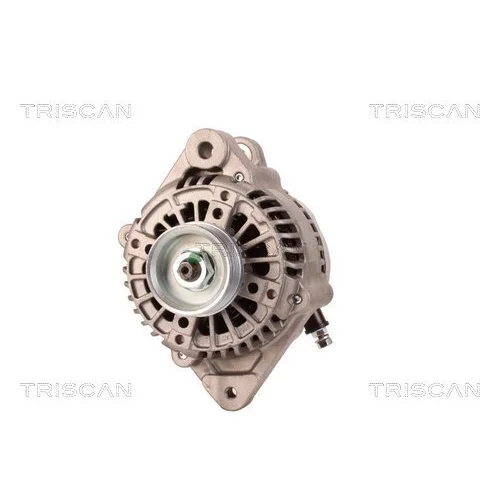 Alternátor 8310 15008 /TRISCAN/ - obr. 5