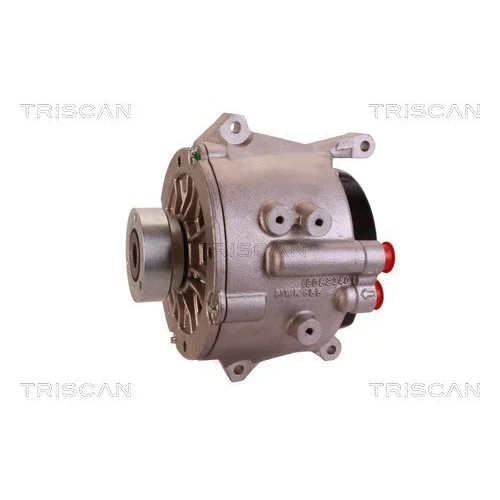 Alternátor 8310 16018 /TRISCAN/ - obr. 6
