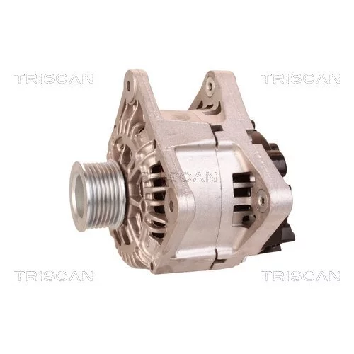 Alternátor 8310 16019 /TRISCAN/ - obr. 6
