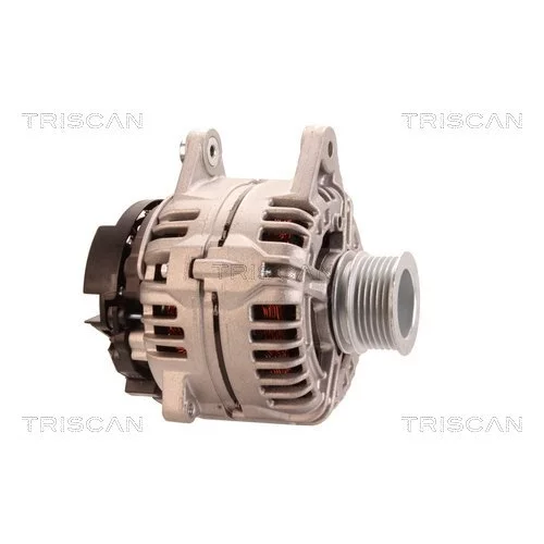 Alternátor 8310 16033 /TRISCAN/ - obr. 3