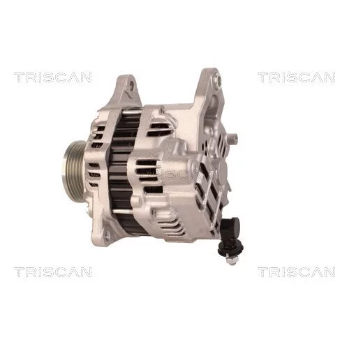 Alternátor 8310 18002 /TRISCAN/ - obr. 7