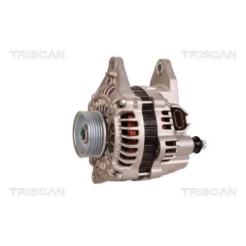 Alternátor 8310 23053 /TRISCAN/ - obr. 6