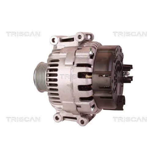 Alternátor 8310 24012 /TRISCAN/ - obr. 7
