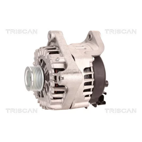 Alternátor 8310 24019 /TRISCAN/ - obr. 6