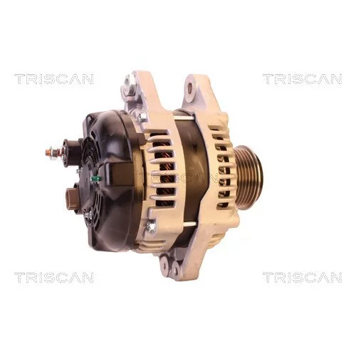 Alternátor 8310 25004 /TRISCAN/ - obr. 2