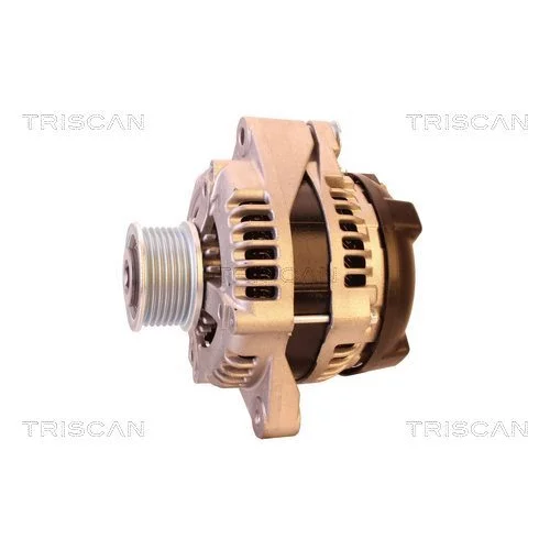 Alternátor 8310 25017 /TRISCAN/ - obr. 6
