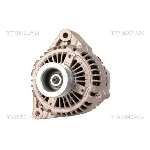 Alternátor 8310 29015 /TRISCAN/ - obr. 5