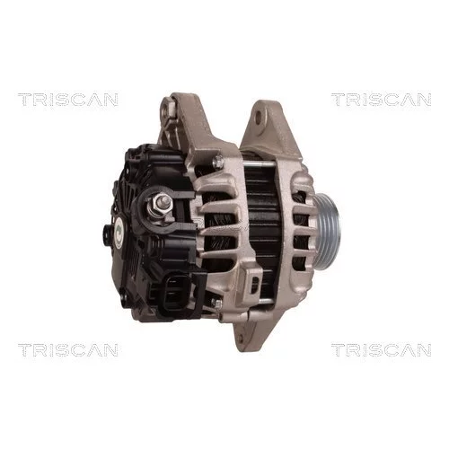 Alternátor 8310 29019 /TRISCAN/ - obr. 2