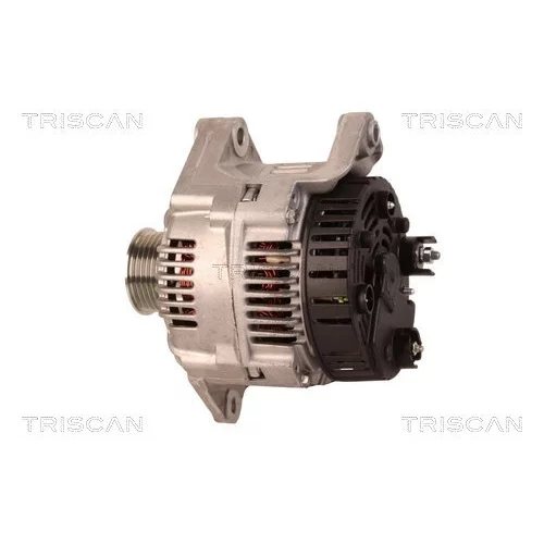 Alternátor 8310 29030 /TRISCAN/ - obr. 7