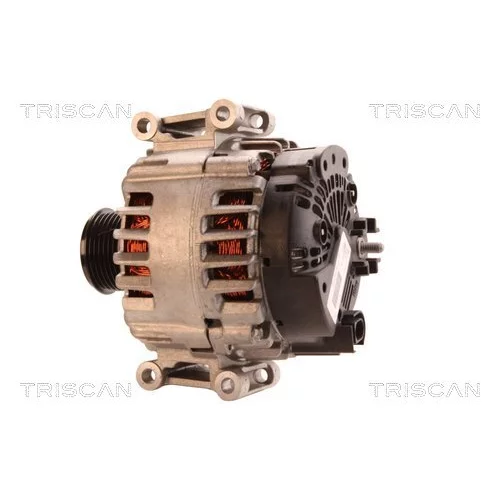 Alternátor 8310 29063 /TRISCAN/ - obr. 7