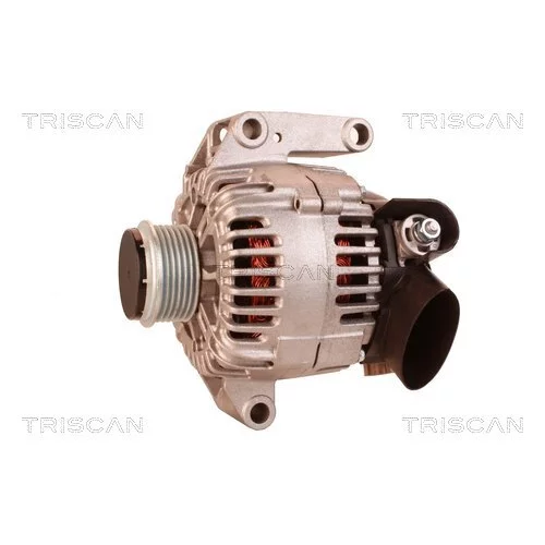 Alternátor 8310 29078 /TRISCAN/ - obr. 6