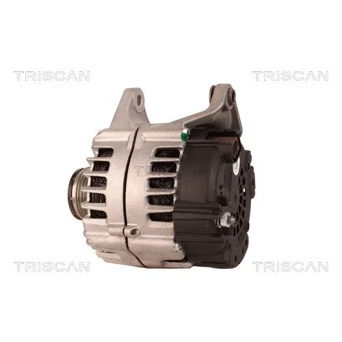Alternátor 8310 29103 /TRISCAN/ - obr. 7
