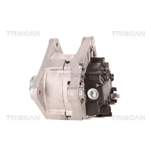 Alternátor 8310 68005 /TRISCAN/ - obr. 7