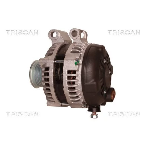 Alternátor 8310 68008 /TRISCAN/ - obr. 7