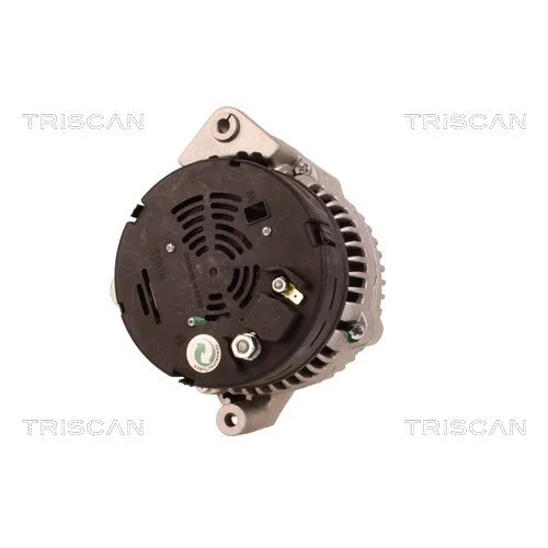 Alternátor 8310 69013 /TRISCAN/ - obr. 1